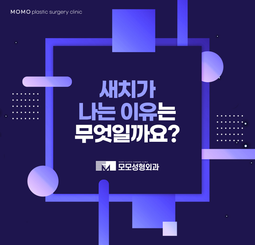 새치나는이유와 처리 방법에 대해 관련 이미지 1