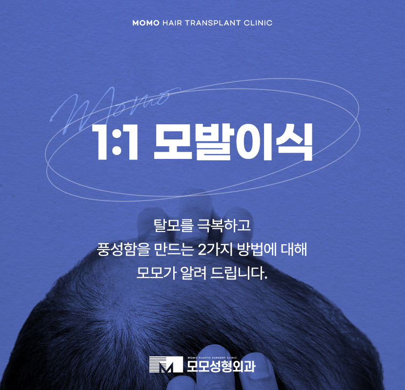 서울 탈모 성지 풍성함을 만들기 위한 방법 2가지 관련 이미지 1