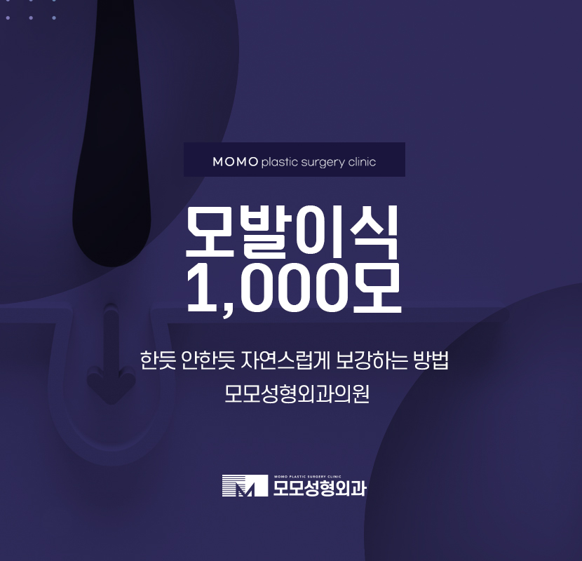 모발이식1000모 한듯 안한듯 자연스러운 관련 이미지 1