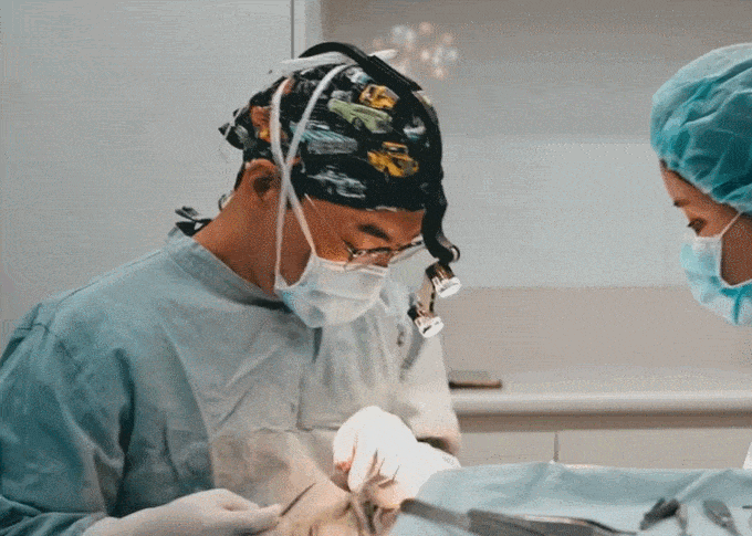코성형잘하는곳 어떻게 찾고 계신가요? 성형외과 전문의가 알려주는 코성형 핵심 관련 이미지 4