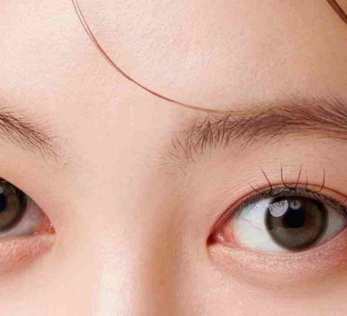 강남지방이식 흡수율 얼마나 되나요? 관련 이미지 13