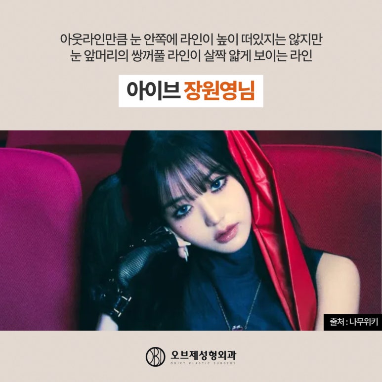 Understanding Eyelid Fold Lines on Female Celebrities image 10