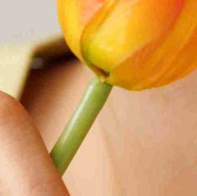 Various Types of Gangnam Thread Lifting image 15