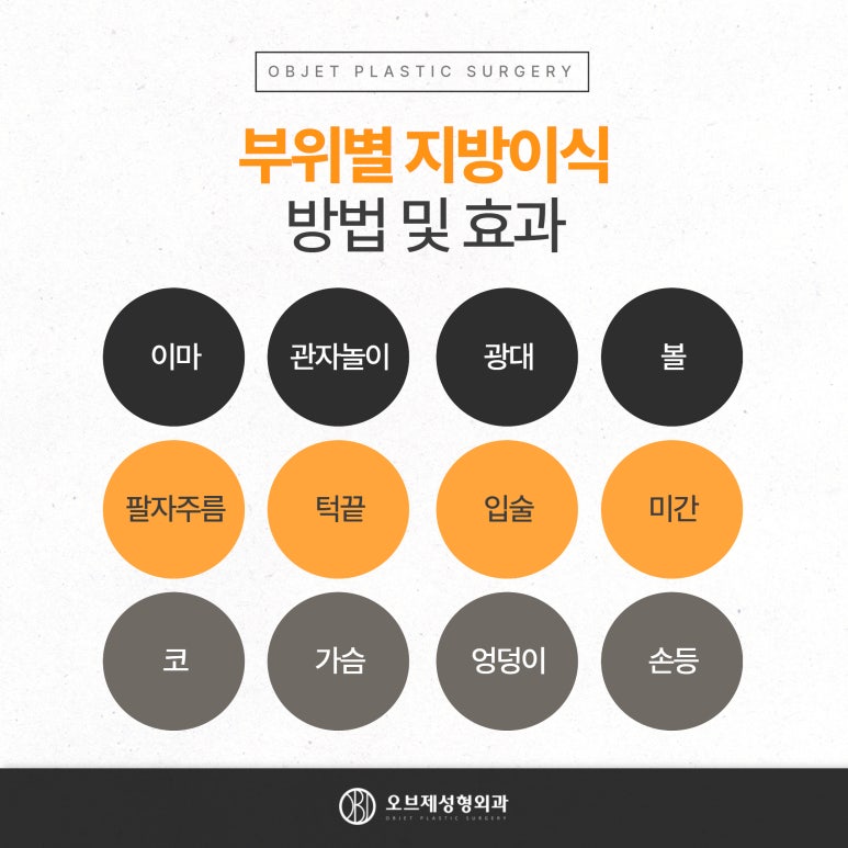 부분 지방이식 가능한 곳 관련 이미지 4