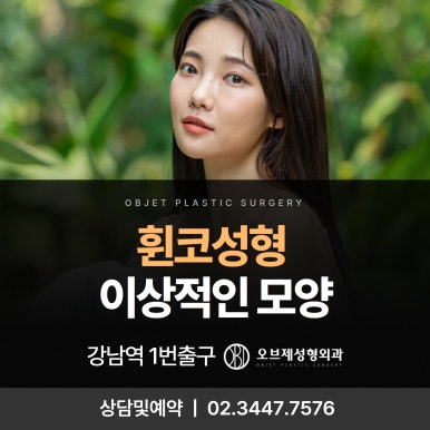 Where Should You Go for Correcting a Crooked Nose? #Director Lee Kyung-mook image 1