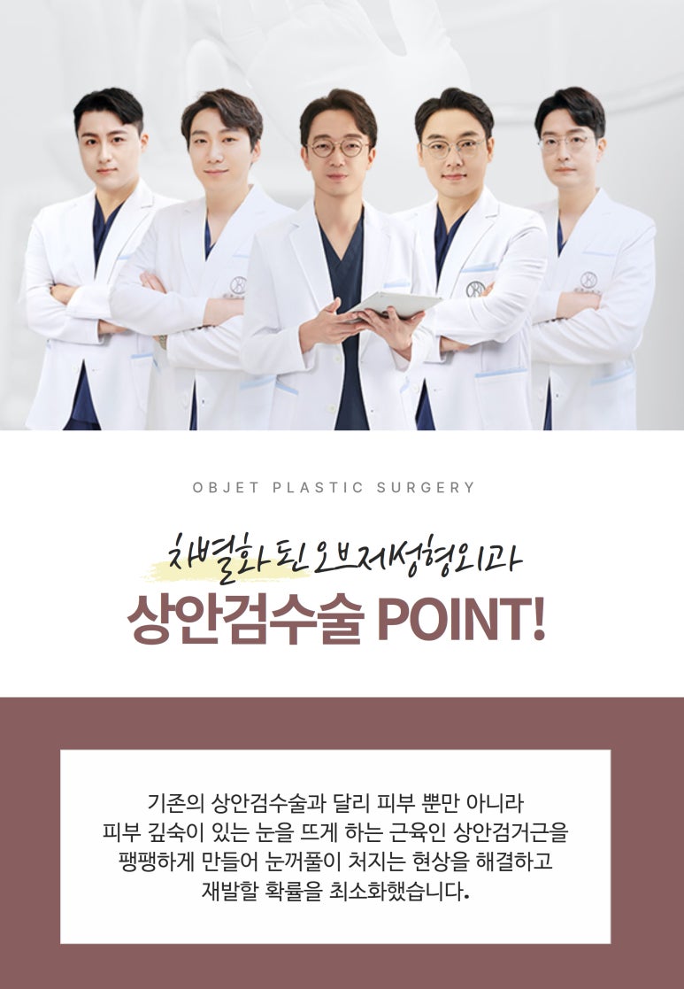 상안검수술과 눈썹하거상술 차이점 관련 이미지 4