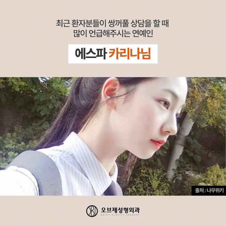 Understanding Eyelid Fold Lines on Female Celebrities image 8