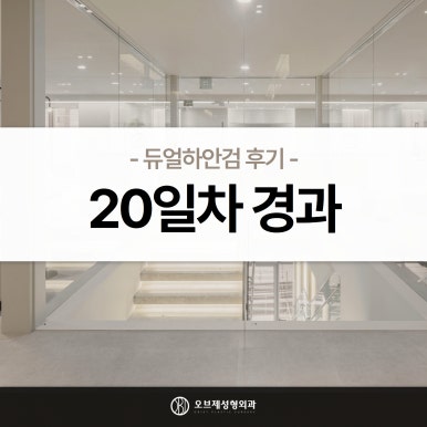 듀얼하안검 후기, 수술당일부터 69일까지 생생보고 #오브제성형외과 장욱원장님 관련 이미지 19