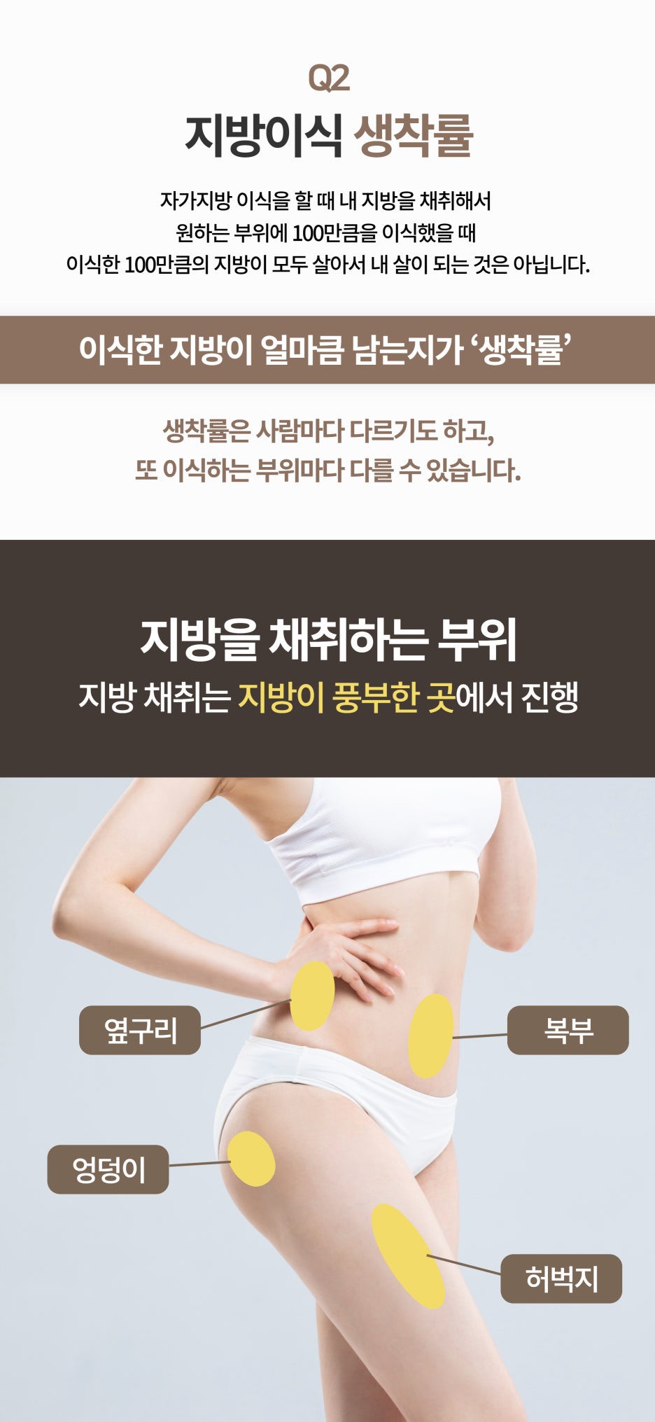 강남지방이식 흡수율 얼마나 되나요? 관련 이미지 4