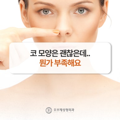 코성형보형물 실리콘or연골 나에게 맞는 방법은? 관련 이미지 4