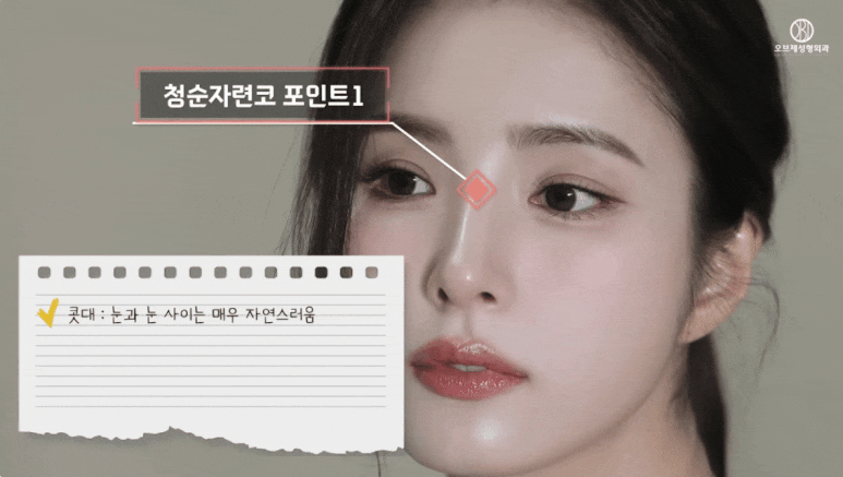 코성형 연예인 사진 TOP 2 신세경&middot;오연서 코 뭐가 다를까? 관련 이미지 19