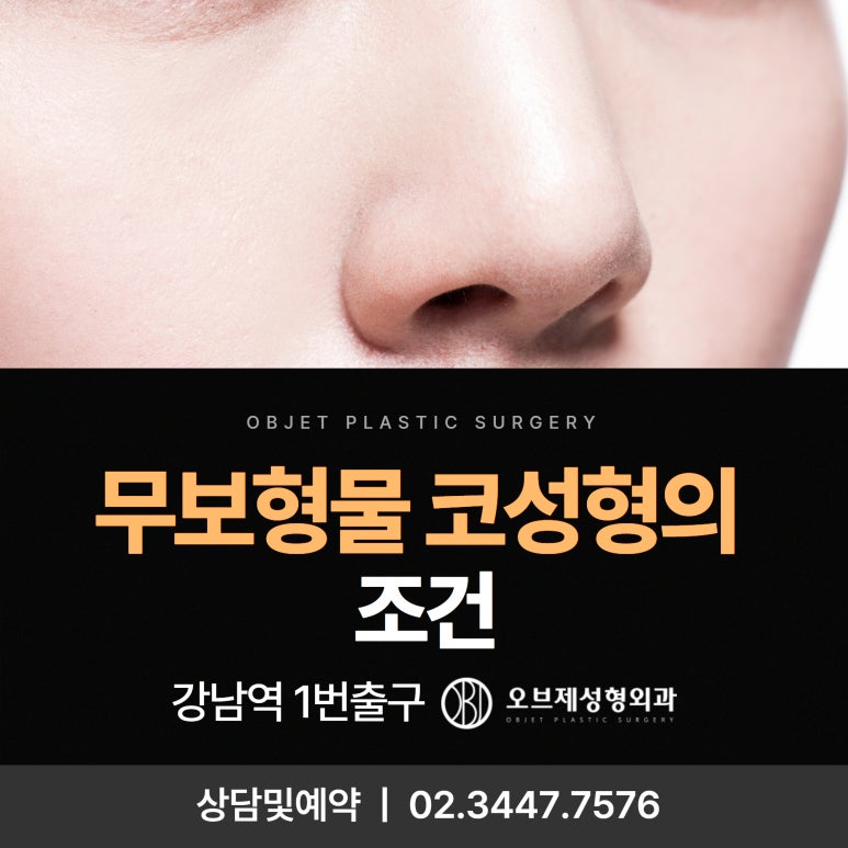 Conditions for Non-Implant Rhinoplasty image 1