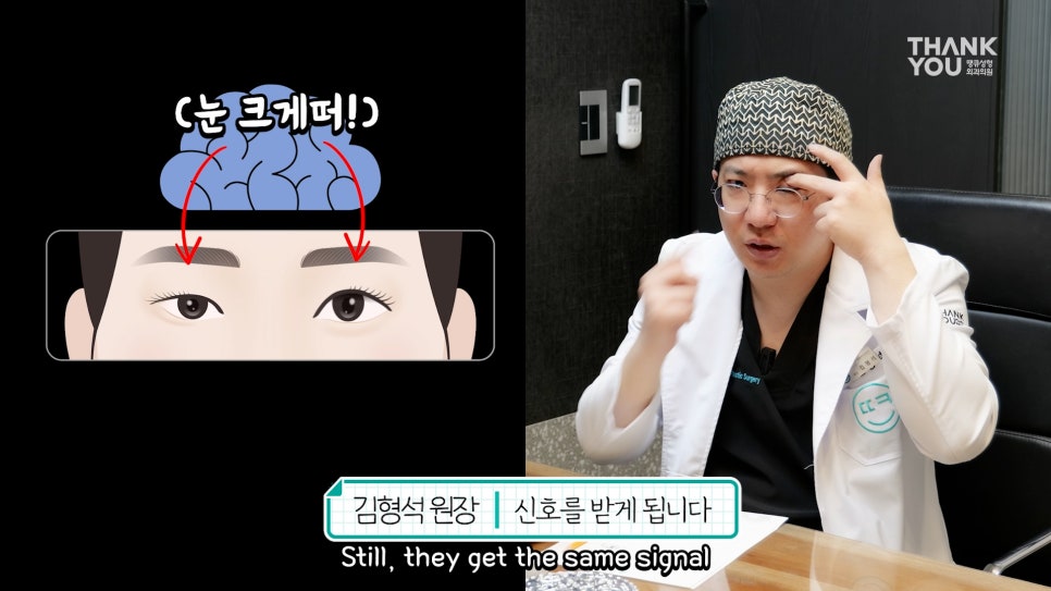 비대칭눈 교정(짝짝이 쌍꺼풀) 헤링의 법칙이란? 관련 이미지 9