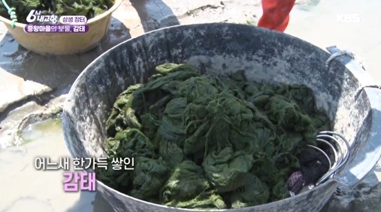 천연 수면제로 불리는 감태의 효능? 불면증 잠잘자는법? 관련 이미지 2