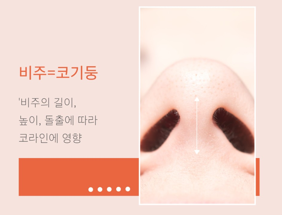 자연스러운 코?직반라인체크+코 비주란? 관련 이미지 5
