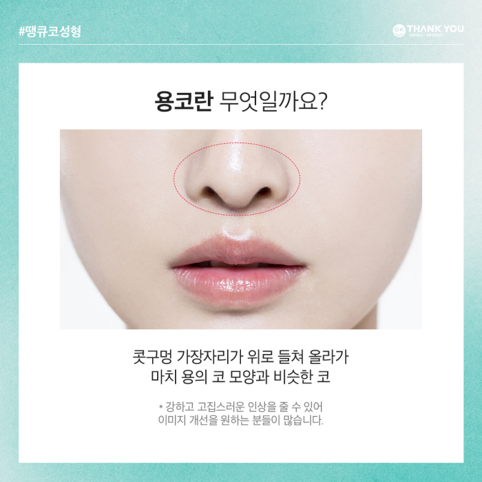 비공내리기로 용코교정하고 조화로운 코 만들기🍀 관련 이미지 2