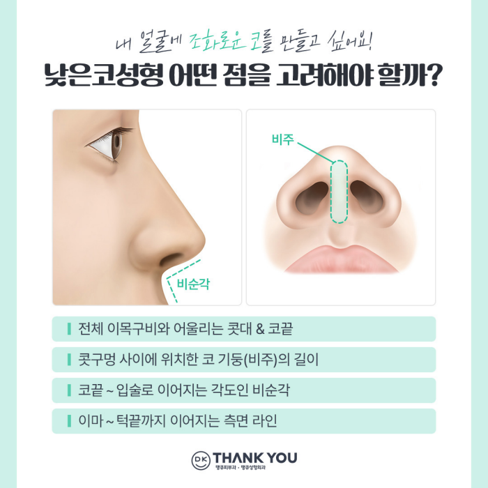 낮은코성형 내게 맞는 높이와 모양으로 관련 이미지 4