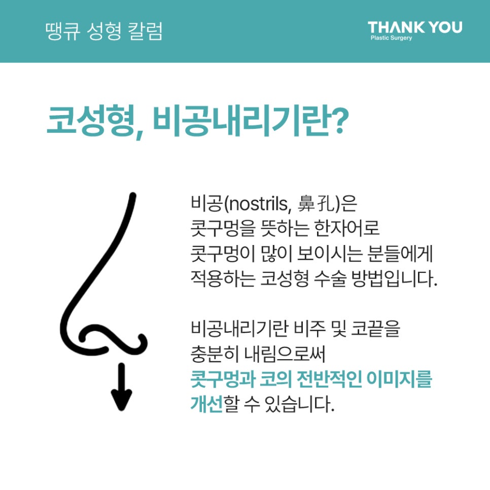 코성형, 비공내리기 수술이란? [콧구멍 잘 보이는 용코 개선] 관련 이미지 1