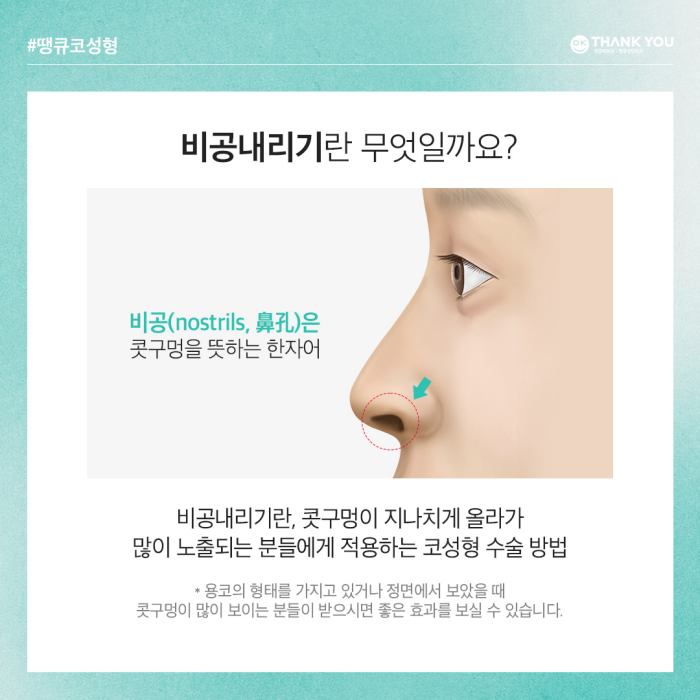 비공내리기로 용코교정하고 조화로운 코 만들기🍀 관련 이미지 3