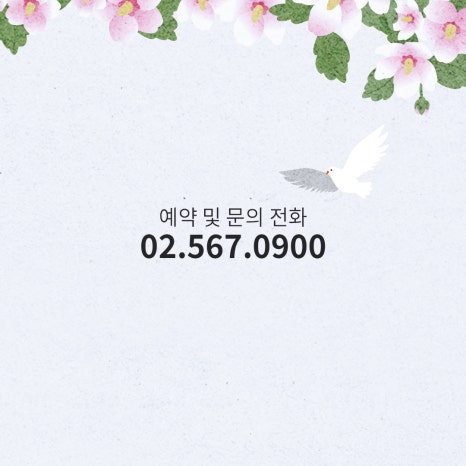 땡큐성형외과(피부과진료) 3월 진료 안내 관련 이미지 4