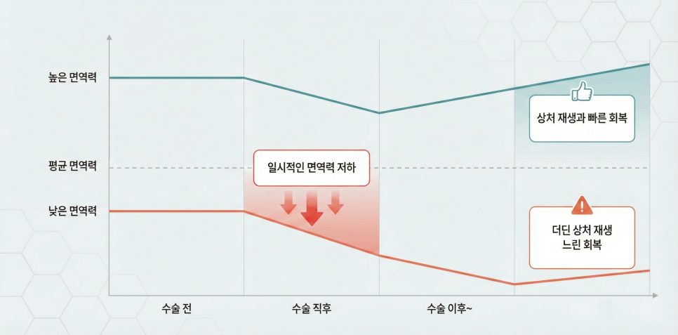 [의학정보]코성형 핵심은 관련 이미지 2