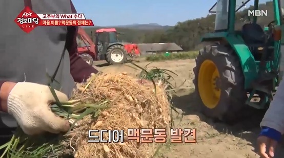 폐에 좋은 음식, 맥문동 관련 이미지 2