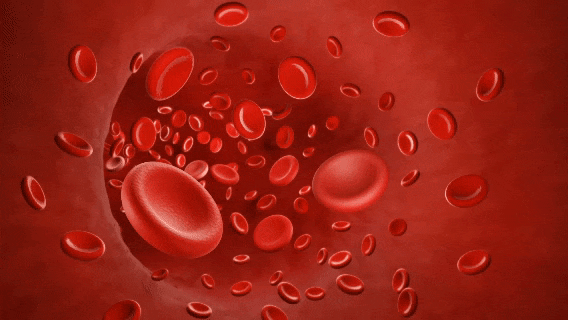 Can Dry Saunas Help with Anti-Aging? — Gangnam Station Dermatology JM Jihyanghada. image 8