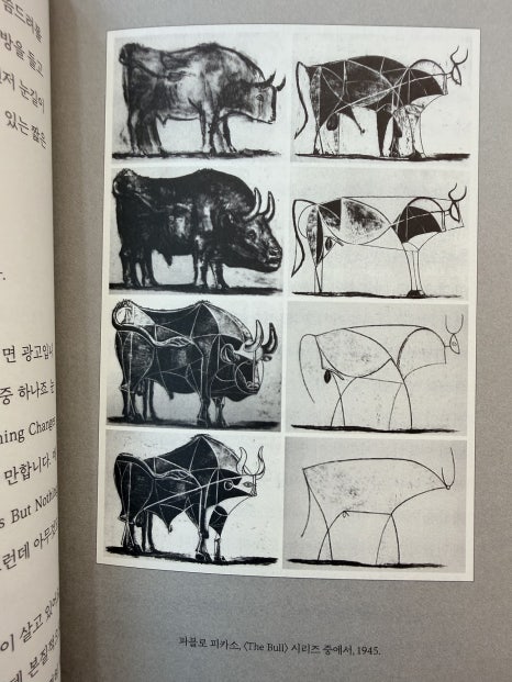 양재 리프팅, 더하기보다 피부를 먼저 보는 진료—JM지향하다. 관련 이미지 10