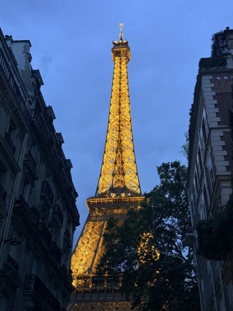 2026 Skin Alliance Forum in Paris & Gangnam Station Dermatology JM image 48