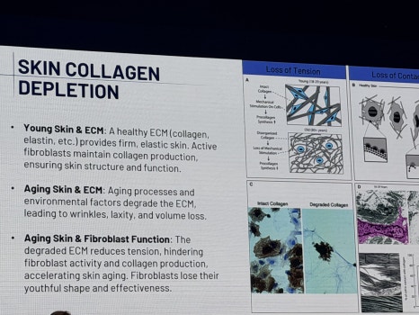 2026 Skin Alliance Forum in Paris & Gangnam Station Dermatology JM image 14