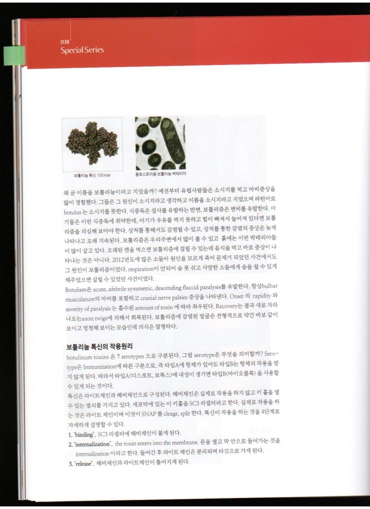 2013년 11월호 Medical에 김종서 원장님 "보툴리눔 톡신별 특징과 적응증"에 대한 기사가 실렸습니다. 관련 이미지 6