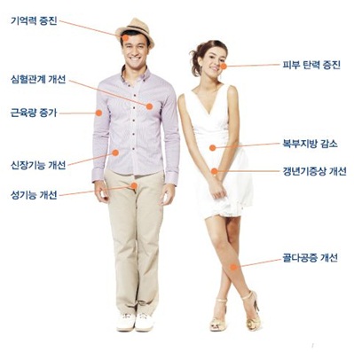 탁월한 노화방지방법, 성장호르몬주사를 알아보자 관련 이미지 3