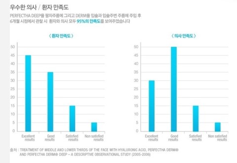 필러계의 샤넬 퍼펙타 필러 관련 이미지 3