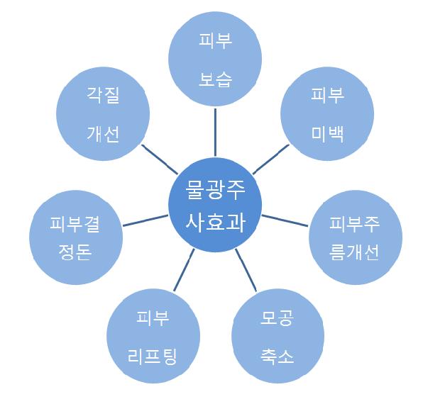 물광주사 잘하는곳 김종서성형외과 관련 이미지 2