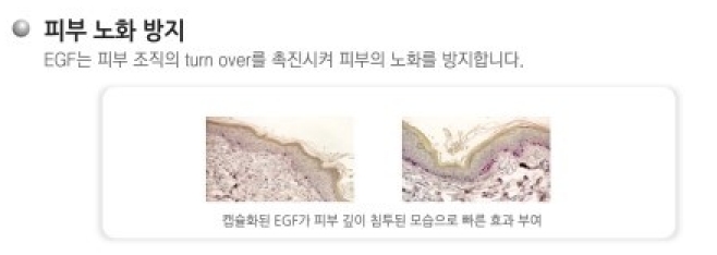 대웅제약의 이지듀화장품 관련 이미지 8