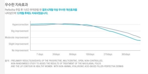 필러계의 샤넬 퍼펙타 필러 관련 이미지 4