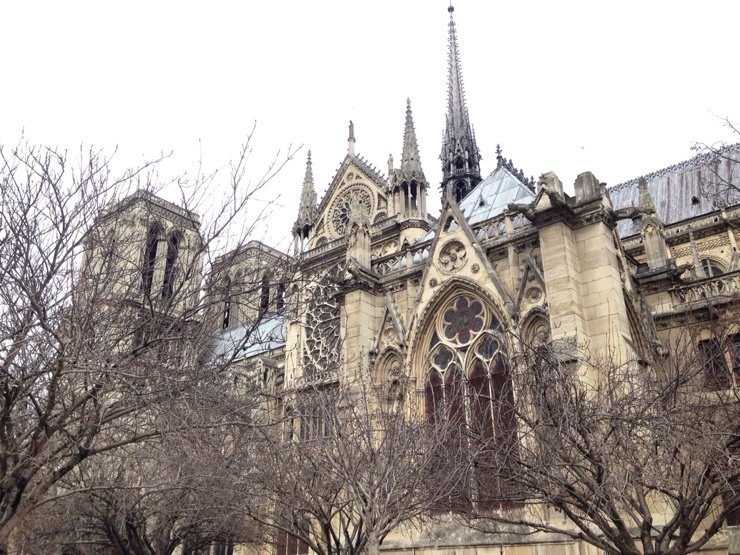 Paris Trip After the Conference Presentation in Paris (Invited Lecture on Hydrating Injection / Selphina Cellulite Round Meeting) image 11