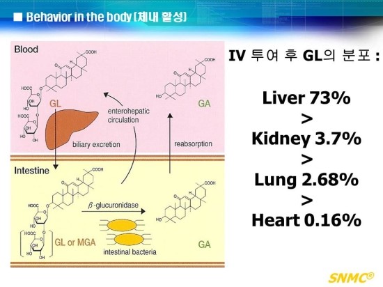 감초주사? 감초주사에 대하여 알아봅시다 [ 도움: 김종서성형외과 원장님 ] 관련 이미지 10