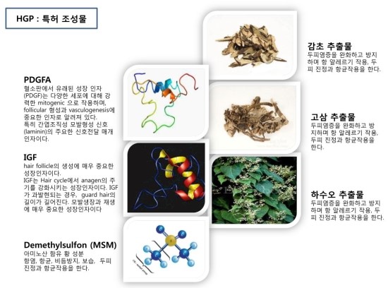 루타샘푸 루타토닉 병원용탈모관리 / 김종서성형외과 / 셀퓨전씨화장품 관련 이미지 6