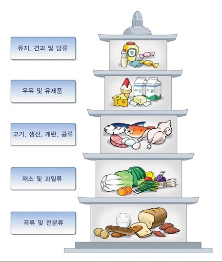 성장호르몬 바로알기! 관련 이미지 5