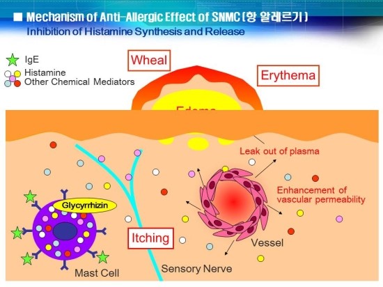 감초주사? 감초주사에 대하여 알아봅시다 [ 도움: 김종서성형외과 원장님 ] 관련 이미지 4