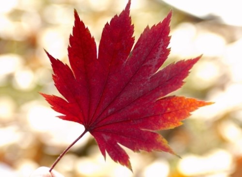Skin Care During Seasonal Changes image 1
