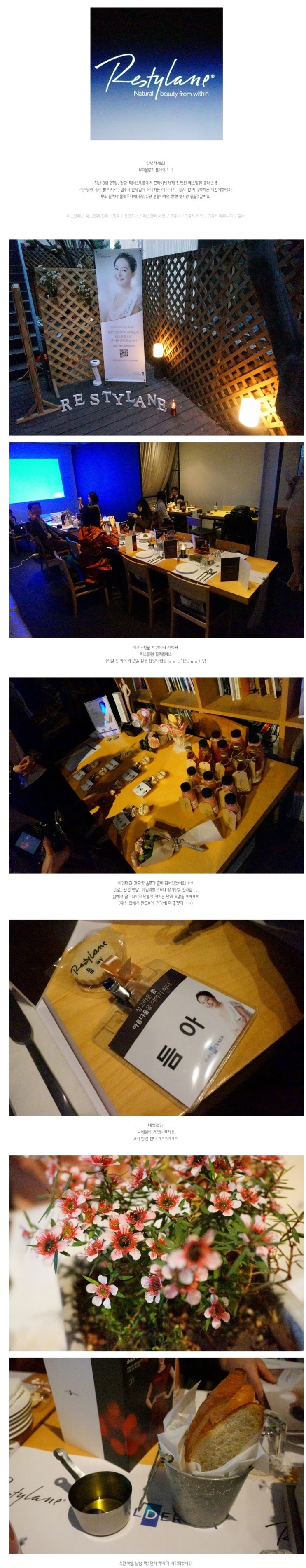2014년3월27일 레스틸렌 필러, 레티나지 강의후기 - 듬아 관련 이미지 1