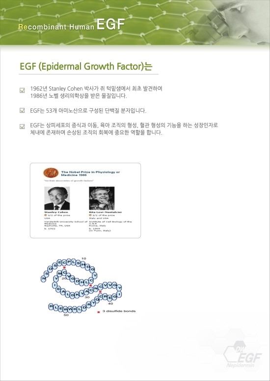 EGF란? 관련 이미지 2