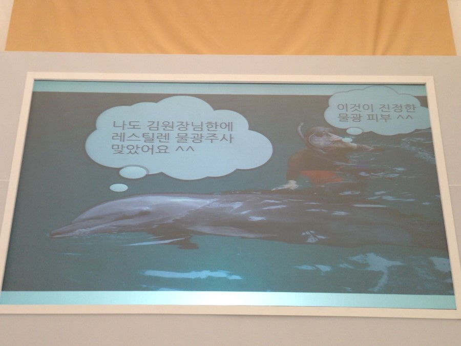 김종서 원장님의 레스틸렌 강의 (2014.07.12 비욘드 뮤지엄) 관련 이미지 9