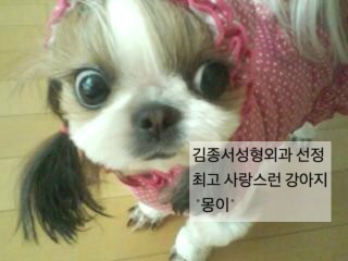 병원에 놀러온 내가 젤 좋아하는 강아지 친구 관련 이미지 3