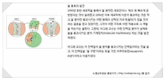 Dr.Skin 닥터스킨 (1) 관련 이미지 3