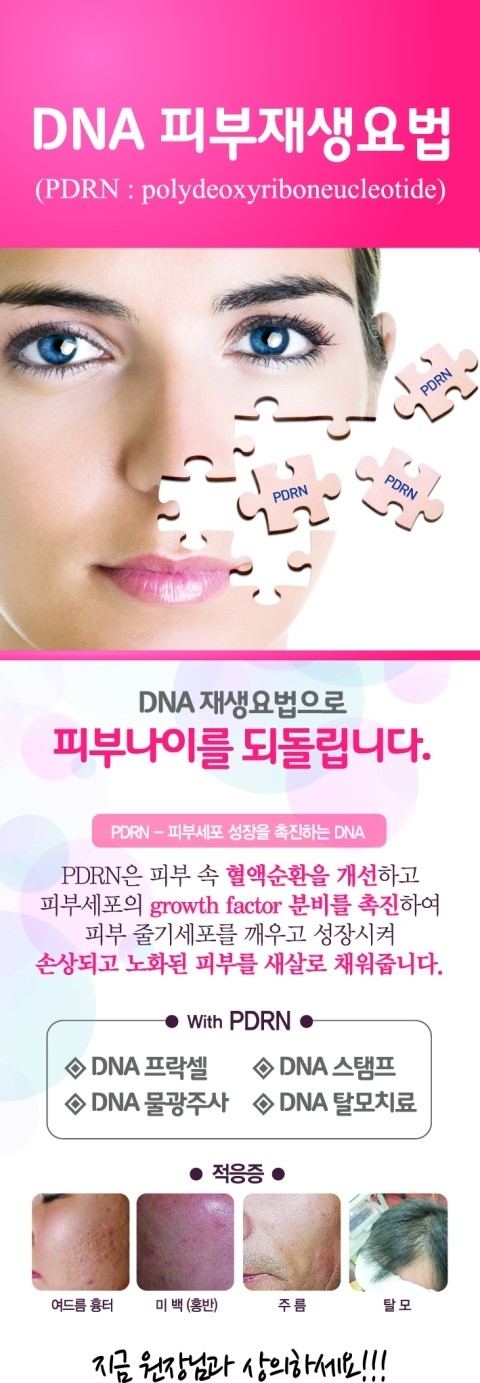 연어주사 디셀(D-cell) 메조DNA출시 김종서성형외과쇼핑몰 독점 판매중 bodyskin.co.kr 관련 이미지 1
