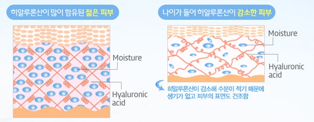 [물광주사]피부속 살아있는 수분을 그대로 담는다! 관련 이미지 3