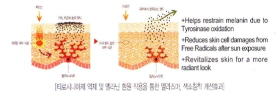 미백, 주름개선 비비크림 셀퓨전씨 더마 블레미쉬 밤 관련 이미지 2